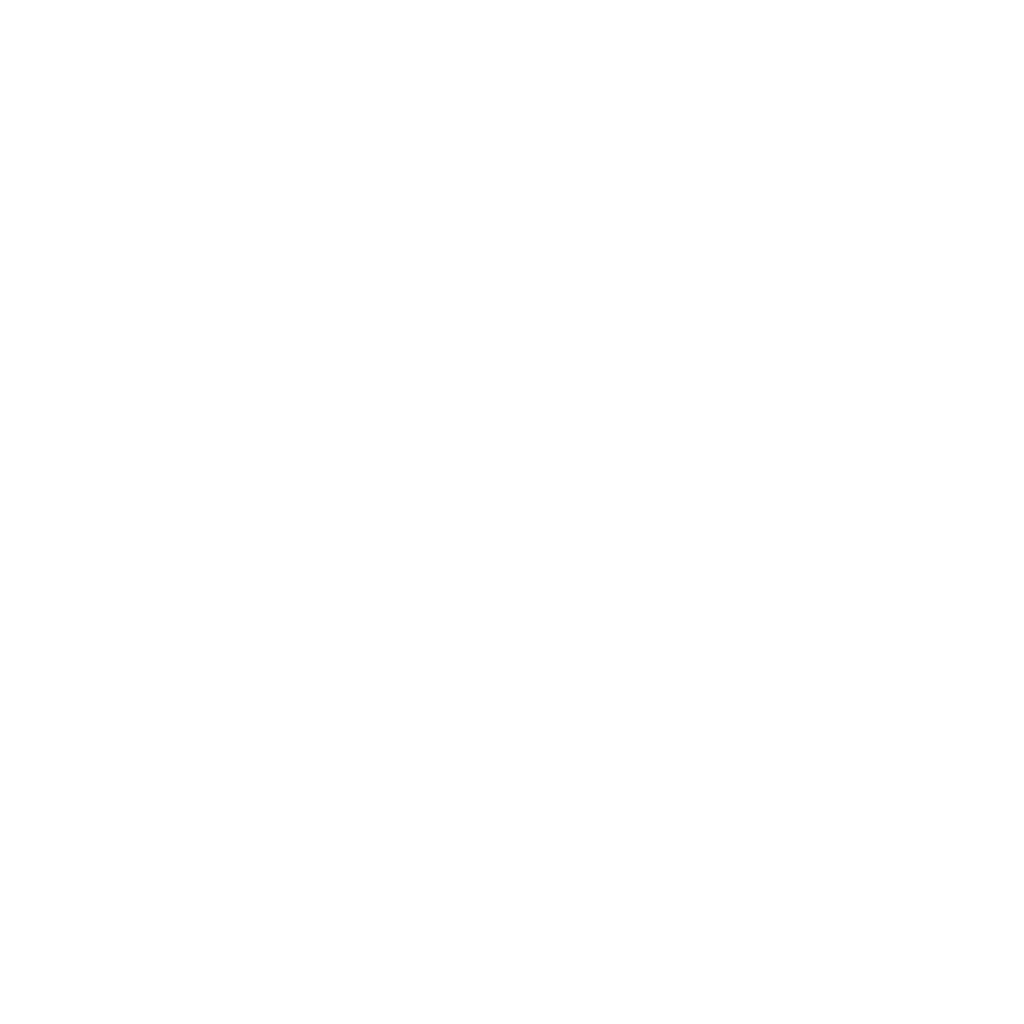 Stori Group logo
